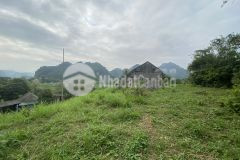 Bán nhanh lô đất xã hợp kim với góc view siêu đỉnh, giá thì siêu hạt rẻ