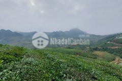 Lô đất 365m2 tại lý lao chải phù hợp đầu tư đón sóng quy hoạch sân bay sapa