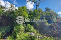 Đất gần nhà văn hoá thôn mò phú chải giá 1.xx tr