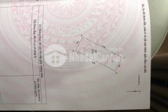 Mặt phố cầu giấy 7 tầng thang máy vỉa hè kinh doanh 55m.