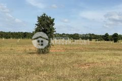 Gia đình bán lô hồng thái 1ha3 đất xanh bằng phẳng giá 115 nghìnm2 có tl nhẹ.lh 0919 626 750