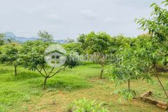 Bán gấp gần 5000m2 đất có vị trí siêu đẹp tại xã vĩnh tiến, kim bôi