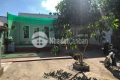 Bán đất ngang 12m. p linh đông thủ đức,dt 193,9m2 giá 11 tỷ