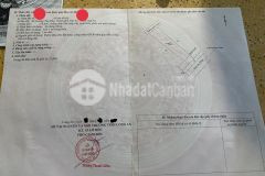 Nhà đẹp mt lê văn tưởng ấp 2 hướng thọ phú tân an long an