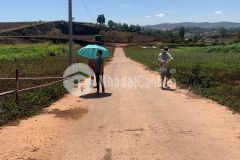 Bán đất đạ ròn 1,78 tỷ 2 mặt tiền 10x31m dt 307m2 tc 200m gần vườn dâu thu hà đạ ròn