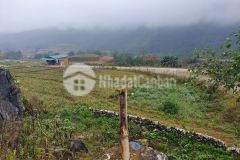 5000m2 đất sapa sổ đỏ rõ ràng giá phù hợp để đầu tư