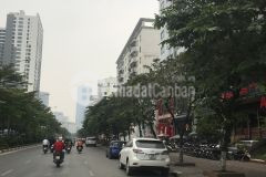 Bán nhà phố đặng thùy trâm,55m,8t, kinh doanh,thang máy, 16 tỷ0987616218