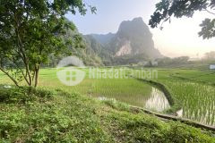 Bán gấp lô đất có view ruộng núi siêu đẹp ở bình sơn, kim bôi