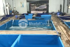 Nhà cấp 4 mặt phố thịnh liệt, 285m2, chỉ 19.99 tỷ.