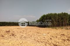 Chính chủ cần bán lô đất diên đồng, diên khánh giá đầu tư.