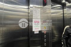 Chính chủ gửi bán ccmn cầu giấy 55m, 7 tầng thang máy, gần phố, nguồn tiền ổn định, nhỉnh 9 tỷ.