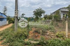 Cần bán 1 em siêu phẩm hẻm lê quý đôn buôn hồ