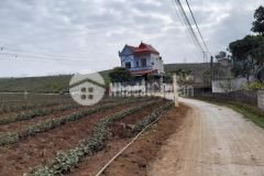 Lô đất có diện tích hơn 300m2 ở nông trường mộc châu phù hợp kinh doanh mọi loại hình