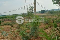 Tân tiến lagi 6,3 sào 7 tỷ đường tây sơn