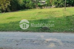 Cần bán nhanh miếng đất vườn 806m2 ở củ chi chưa qua đầu tư