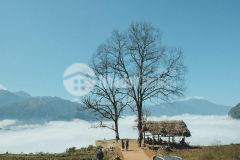 Bán đất nền y tý sapa 2 dt 1.084 m2 tp du lịch ven biên giới