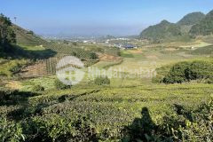 Cơ hội sở hữu mảnh đất tiềm năng rộng hơn 3000m2 tại chiềng đi, mộc châu