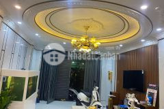 Cần bán nhà mặt tiền đường số,ngay trung tâm quận 794m2chỉ 5,4 tỷ.