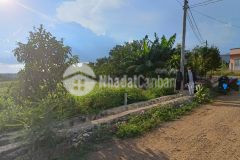 Cần bán gấp lô đất trung tâm bảo lâm giá mềm cho ai đầu tư