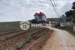 Bán đất sẵn 120m2 thổ cư tại nông trường mộc châu.