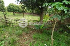 Chính chủ bán gấp 600m2 đất thổ cư ngọc thanh phúc yên, hoàng hoa thám, tl301 mt 20m chỉ 4trm2.