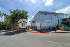 Nền trục chính đường số 7 khu cán bộ đại học cần thơ thông xuống hồ bún xáng