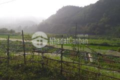 Bán nhanh lô đất view siêu đẹp ở hợp tiến, kim bôi