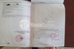 Bán đất đường bùi tấn diên, phường hòa minh, quận liên chiểu
