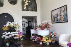 Vila q2,nguyên thi đinh 100m2,gia 11.9 ty