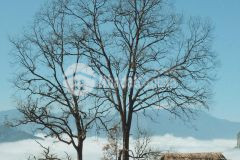 Bán đất đẹp nhất y tý sapa 2 giá chỉ từ 500tr đón qh khu dl ven biên giới