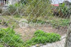 Đất rộng thanh trì đầu tư giữ tiền giá 1,55 tỷ