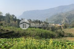 Bán đất đầu tư tại khu quy hoạch quốc gia thôn mò phú chải y tý sapa 2 lào cai