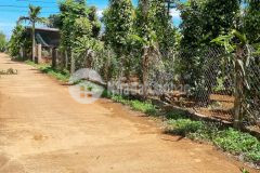 Bán 2 lô f0 biệt thự liền kề tại km17 ql26 hẻm cấp 1 đường thắng lợi việt đức.