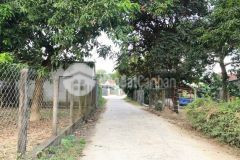 Bán nền đất thôn trung diên lâm diên khánh 381m2 chỉ 1,3ty