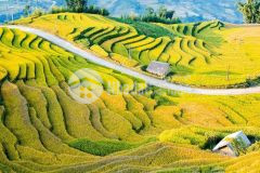 Cơ hội đầu tư sinh lời khu đô thị du lịch y tý sapa2