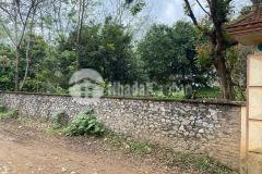 Bán gấp 3707m2 đất full thổ ở nam thượng, kim bôi