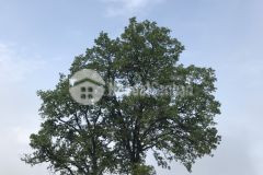 Đón sóng quy hoạch đầu tư y tý sapa 2