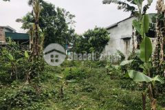 Bán gấp 603m2 đất tại vĩnh tiến, kim bôi