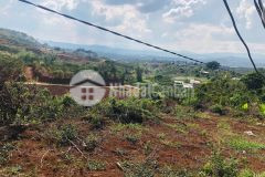 Chính chủ cần tiền muốn bán nhanh lô đất ở đông thanh huyện lâm hà tỉnh lâm đồng tổng diện1107m2