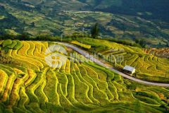 Không thể bỏ lỡ cơ hội vàng cho nhà đầu tư bds sapa