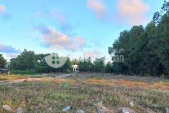 Nguyễn chí thanh tân bình lagi 4 sào 11 tỷ