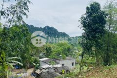 Bán gấp hơn 2000m2 đất toàn thổ cư view nhìn ra dự án sungroup