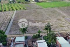 Cơ hội đầu tư ssinh lời trong thời gian đối diện cty xuất nhạp khẩu và đt đs bc chỉ 450tr