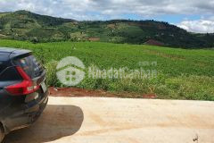 Em còn lô đất bao xịn cho khách yêu tại nam ban, lâm hà, lâm đồng