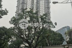 Bán nhà phố võng thị,tây hồ, 58m,4t, kinh doanh, gara, 10 tỷ, 0904656981