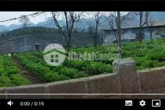 Lô đất gần 5000m2 ở tiểu khu 15, mộc châu thích hợp làm homestay farmstay