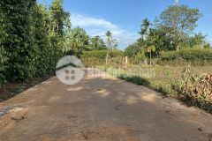 Bán đất eatu quốc lộ 26