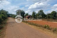 Cư sue chưa bao giờ ngừng hót nha