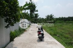 Cần bán đất ấp mỹ hòa, xã mỹ phong