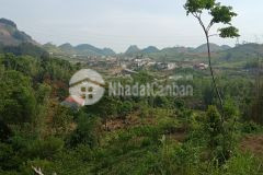 Cơ hội sở hữu mảnh đất gần 4000m2 ở nông trường mộc châu phù hợp mọi loại hình kinh doanh